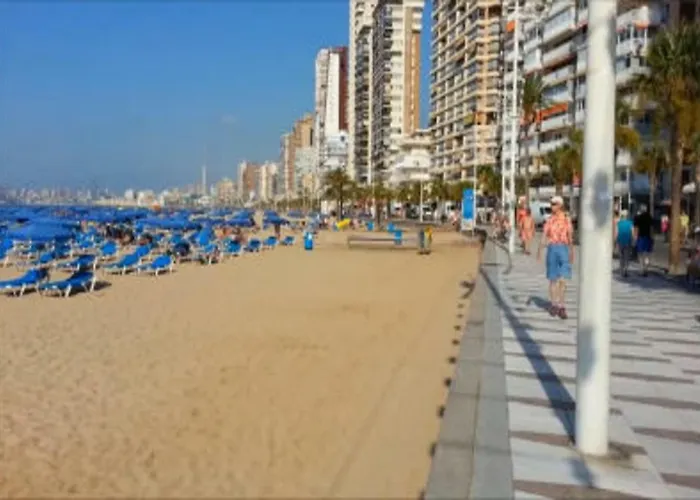 Payma Benidorm